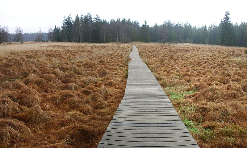 Kladské rašeliniště