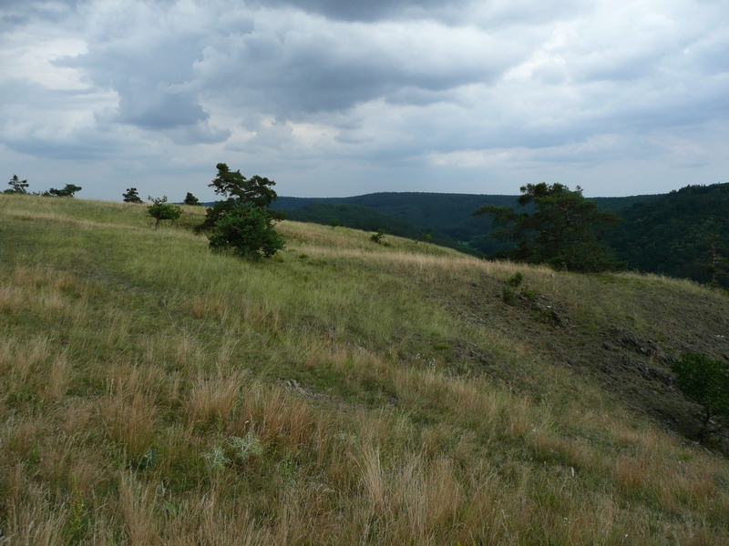 Mohelenská hadcová step