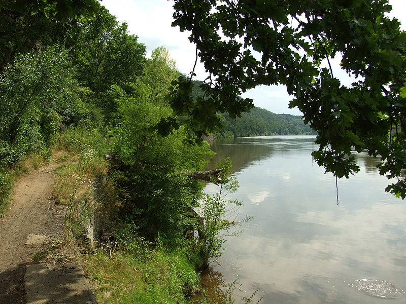 Větrušická rokle