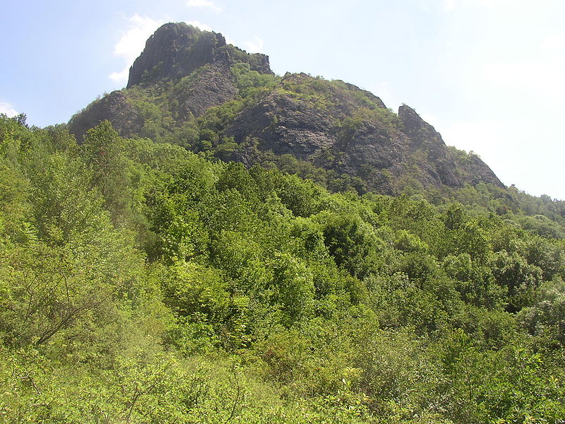 Bořeň