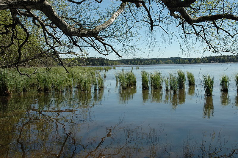 Dářsko